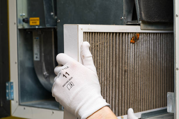 Best Home Air Vent Cleaning  in Jemez Pueblo, NM